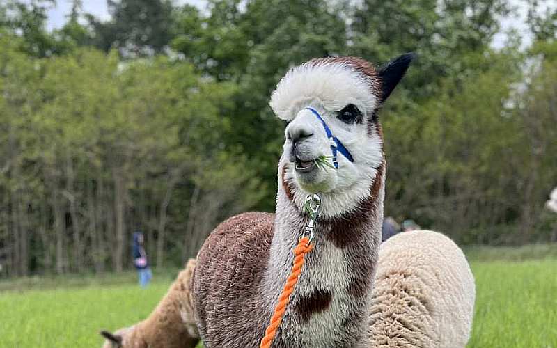 Wypoczynek w Sasinowie